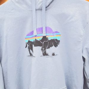 Patagonia Men's Blue/Grey Fitz Roy Regular Fit Hoodie Sz. M